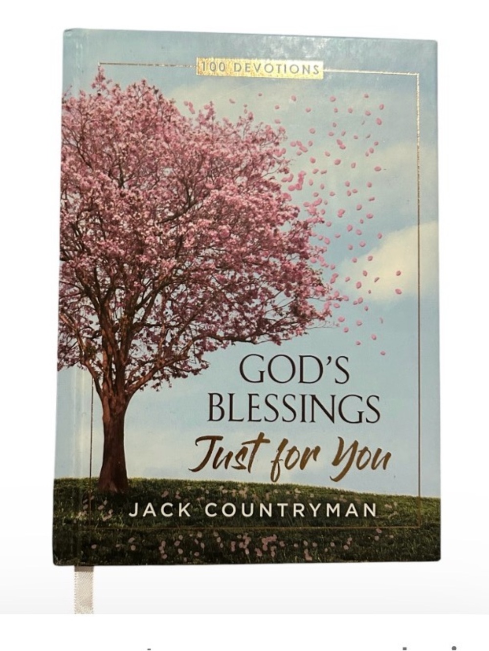 God's Blessings Just for You Devotional Notebook - Pink Tree